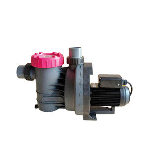 BWT iStar II High-Efficiency Single Speed Pool Pump