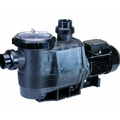 Waterco Hydrostorm Plus-250 Pump